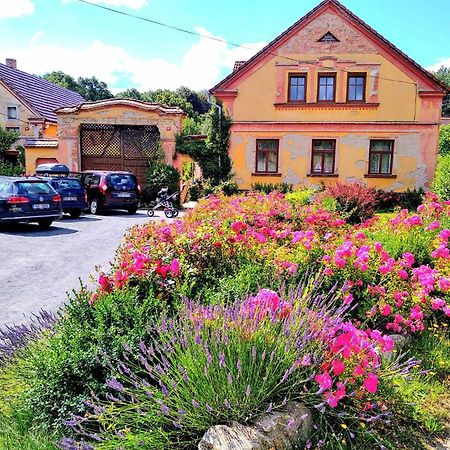 Apartmany Kosov 1 Bor ภายนอก รูปภาพ